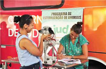 Castramóvel: serviço voluntário de castração de cães e gatos em Valadares